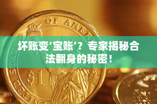 济南坏账变‘宝账’？专家揭秘合法翻身的秘密！