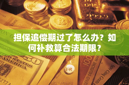 济南担保追偿期过了怎么办？如何补救算合法期限？