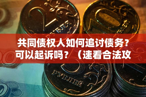 济南共同债权人如何追讨债务？可以起诉吗？（速看合法攻略）
