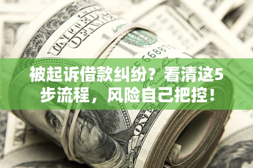 济南被起诉借款纠纷？看清这5步流程，风险自己把控！