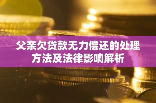 济南父亲欠贷款无力偿还的处理方法及法律影响解析